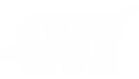 gnlojistiklogo